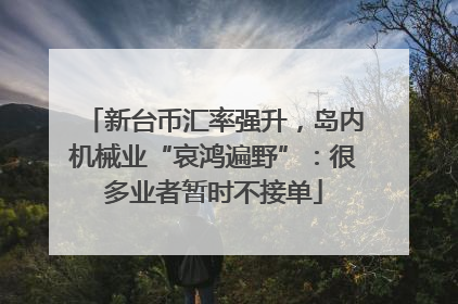 新台币汇率强升，岛内机械业“哀鸿遍野”：很多业者暂时不接单