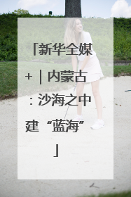 新华全媒+｜内蒙古：沙海之中建“蓝海”