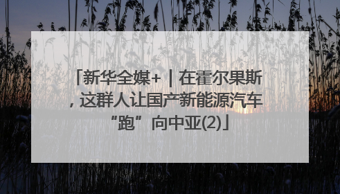 新华全媒+｜在霍尔果斯，这群人让国产新能源汽车“跑”向中亚(2)