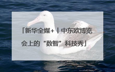 新华全媒+丨中东欧博览会上的“数智”科技秀