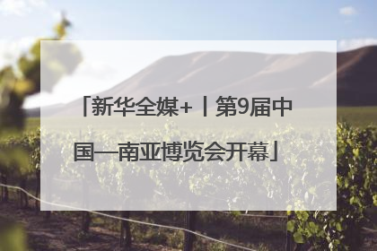 新华全媒+丨第9届中国—南亚博览会开幕