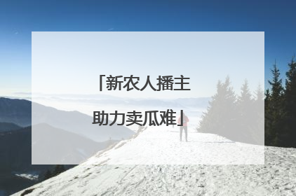 新农人播主 助力卖瓜难