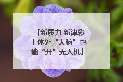 新质力 新津彩丨体外“大脑”也能“开”无人机