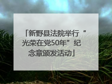 新野县法院举行“光荣在党50年”纪念章颁发活动