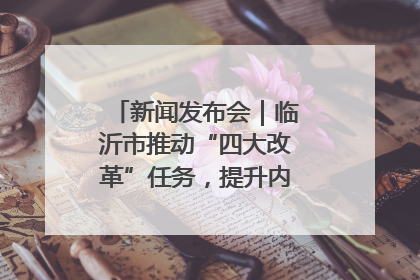 新闻发布会｜临沂市推动“四大改革”任务，提升内部审计监督效能