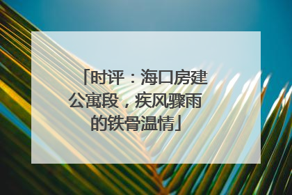 时评：海口房建公寓段，疾风骤雨的铁骨温情
