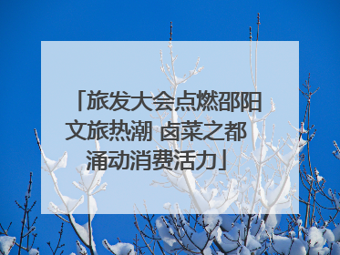 旅发大会点燃邵阳文旅热潮 卤菜之都涌动消费活力