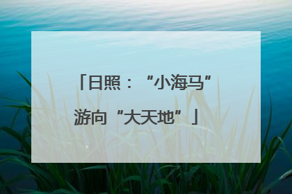 日照：“小海马”游向“大天地”