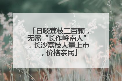 日啖荔枝三百颗，无需“长作岭南人”，长沙荔枝大量上市，价格亲民