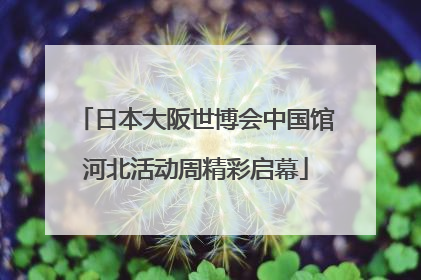 日本大阪世博会中国馆河北活动周精彩启幕