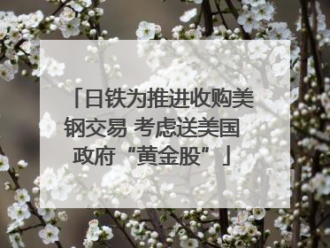 日铁为推进收购美钢交易 考虑送美国政府“黄金股”