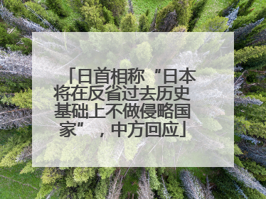 日首相称“日本将在反省过去历史基础上不做侵略国家”，中方回应