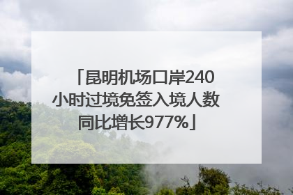 昆明机场口岸240小时过境免签入境人数同比增长977%
