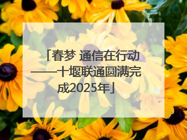 春梦 通信在行动——十堰联通圆满完成2025年
