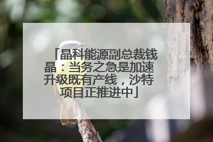 晶科能源副总裁钱晶：当务之急是加速升级既有产线，沙特项目正推进中