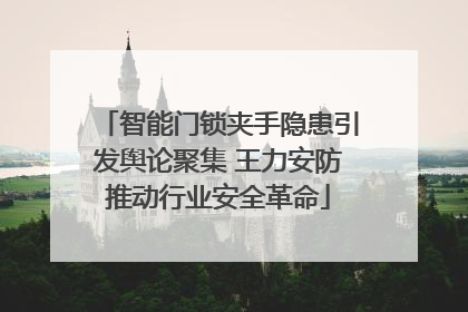 智能门锁夹手隐患引发舆论聚集 王力安防推动行业安全革命