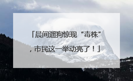 晨间遛狗惊现“毒株”，市民这一举动亮了！