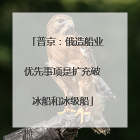 普京：俄造船业优先事项是扩充破冰船和冰级船