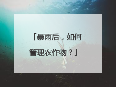 暴雨后，如何管理农作物？
