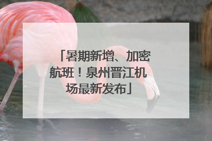 暑期新增、加密航班！泉州晋江机场最新发布