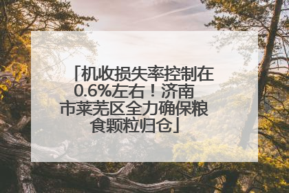机收损失率控制在0.6%左右！济南市莱芜区全力确保粮食颗粒归仓