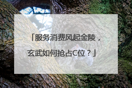 服务消费风起金陵，玄武如何抢占C位？