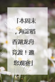 本周末，海淀稻香湖龙舟竞渡！邀您观赛