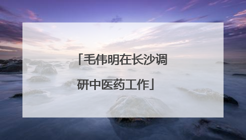 毛伟明在长沙调研中医药工作