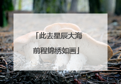 此去星辰大海 前程锦绣如画
