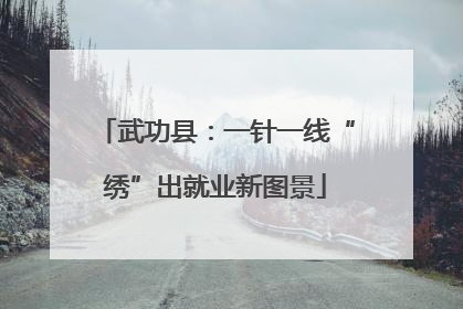 武功县：一针一线“绣”出就业新图景