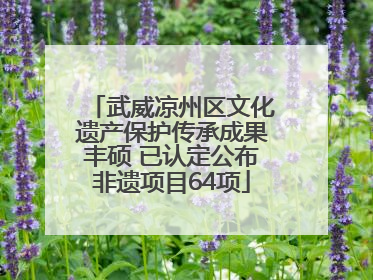 武威凉州区文化遗产保护传承成果丰硕 已认定公布非遗项目64项