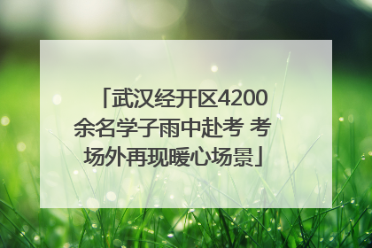武汉经开区4200余名学子雨中赴考 考场外再现暖心场景