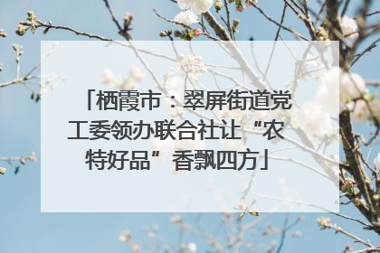 栖霞市：翠屏街道党工委领办联合社让“农特好品”香飘四方