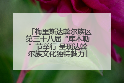 梅里斯达斡尔族区第三十八届“库木勒”节举行 呈现达斡尔族文化独特魅力