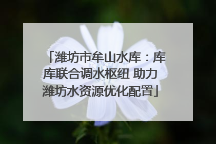 潍坊市牟山水库：库库联合调水枢纽 助力潍坊水资源优化配置