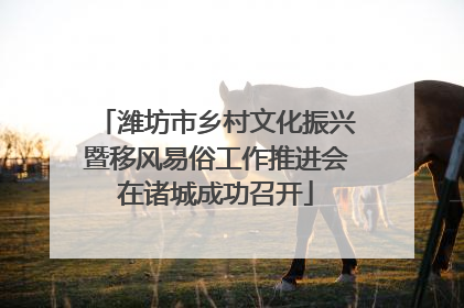 潍坊市乡村文化振兴暨移风易俗工作推进会在诸城成功召开