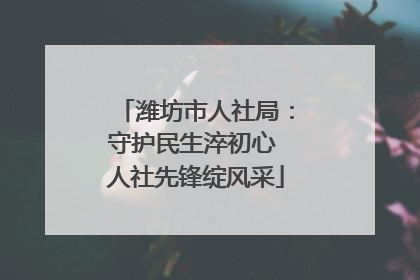 潍坊市人社局：守护民生淬初心 人社先锋绽风采