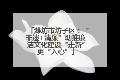 潍坊市坊子区：“非遗+清廉”助推廉洁文化建设“走新”更“入心”
