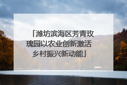潍坊滨海区芳青玫瑰园以农业创新激活乡村振兴新动能
