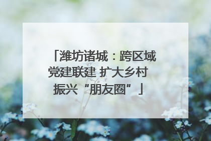 潍坊诸城：跨区域党建联建 扩大乡村振兴“朋友圈”