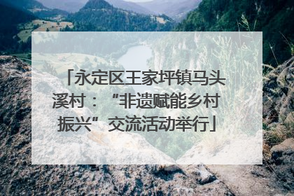 永定区王家坪镇马头溪村：“非遗赋能乡村振兴”交流活动举行