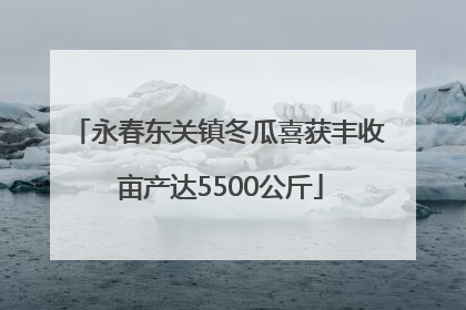 永春东关镇冬瓜喜获丰收 亩产达5500公斤