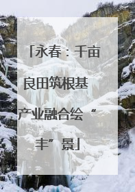永春：千亩良田筑根基 产业融合绘“丰”景