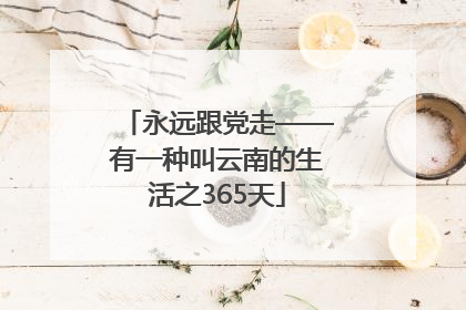 永远跟党走——有一种叫云南的生活之365天