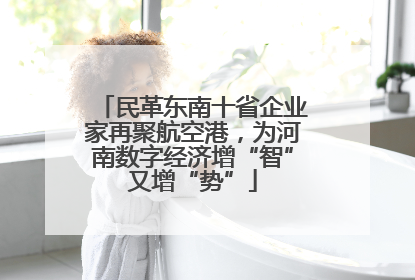 民革东南十省企业家再聚航空港，为河南数字经济增“智”又增“势”