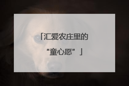 汇爱农庄里的“童心愿”