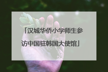 汉城华侨小学师生参访中国驻韩国大使馆