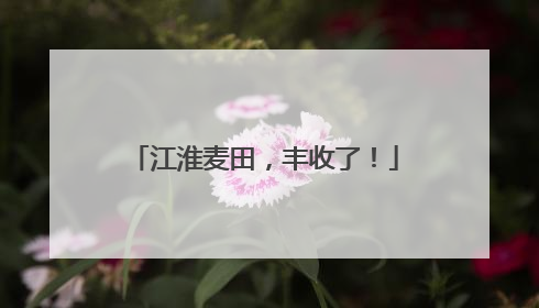 江淮麦田，丰收了！