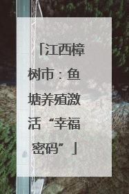 江西樟树市：鱼塘养殖激活“幸福密码”