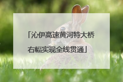 沁伊高速黄河特大桥右幅实现全线贯通